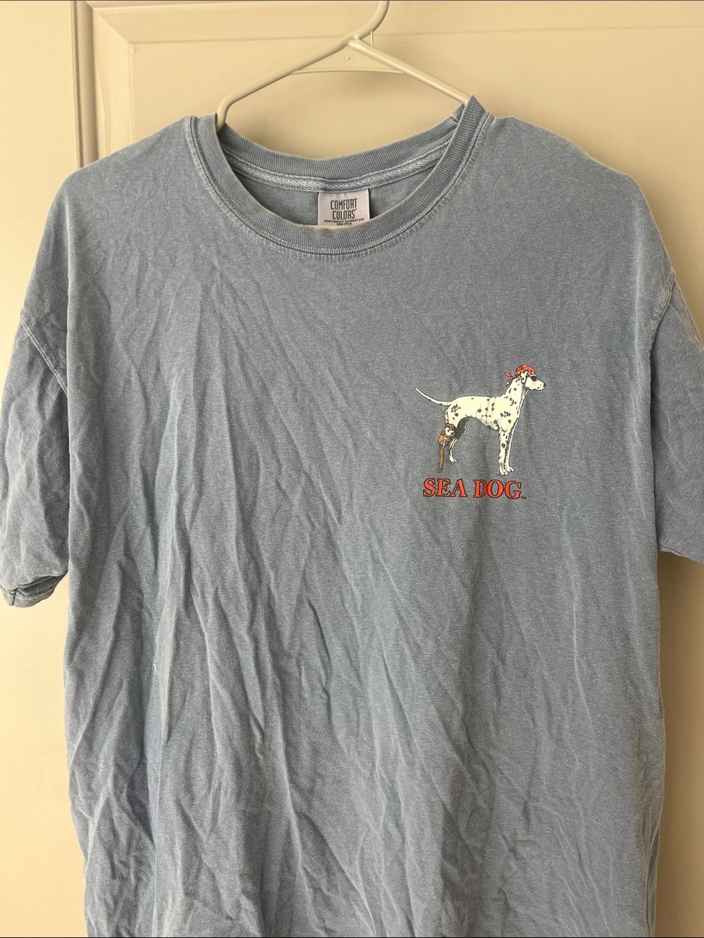 Comfort Colors Light Blue Sea Dog Graphic Tee